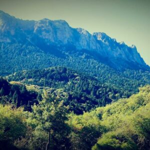 17/05/2026 Senderismo en los Llanos del Rabel: naturaleza y belleza en la Sierra de Grazalema