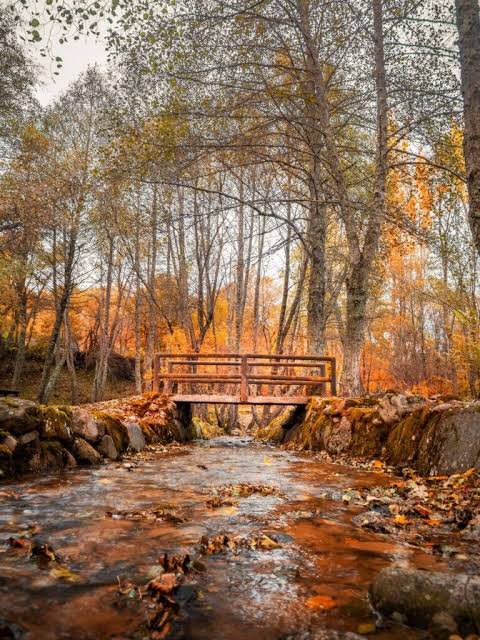 09/10/2026 PUENTE DEL PILAR (OTOÑO DORADO SANABRIA Y ZAMORA) - Imagen 19