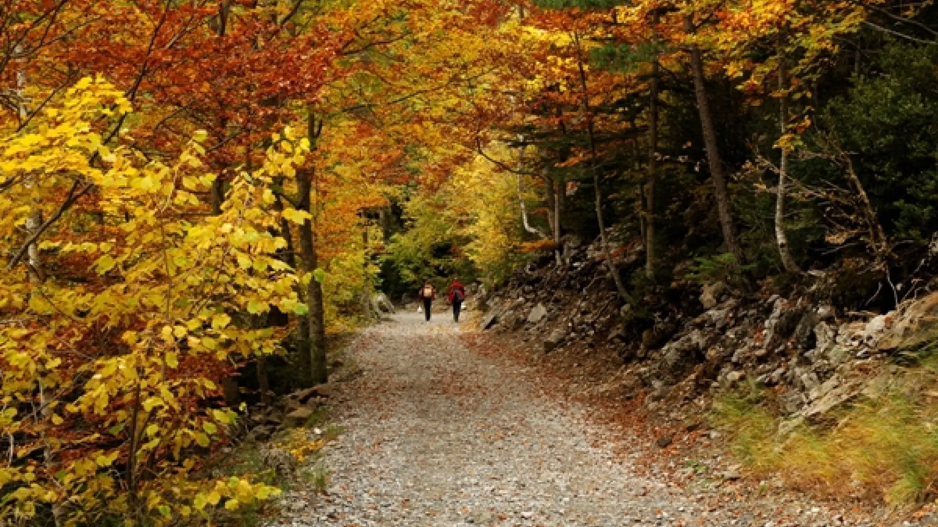 09/10/2026 PUENTE DEL PILAR (OTOÑO DORADO SANABRIA Y ZAMORA) - Imagen 17