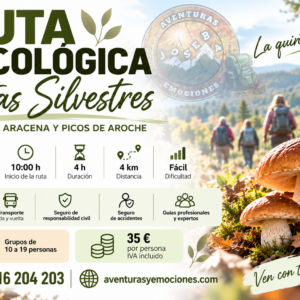 15/11/2026 RUTA MICOLÓGICA SETAS SILVESTRES, NATURALEZA