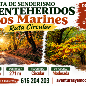 18/10/2026 Circular entre castañares y paisajes de otoño